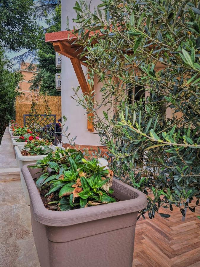 Luxury Cecilia Via Antonio Del Re 9 Tivoli Hotel Exterior photo